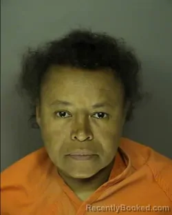 Booking photo from Horry County, South Carolina