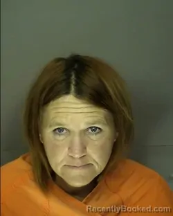 Mugshot of JODI MICHELLE BLANCHARD