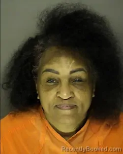Mugshot of NITRA NICOLE BROWN