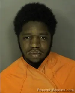 Mugshot of JAIDEN AHMAD MCDONALD