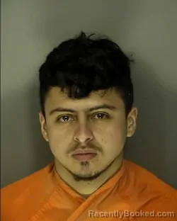 Mugshot of JORGE GEOVANNY MEJIA PACHECO