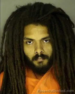 Mugshot of LONNIE TREQUAN RIGGINS