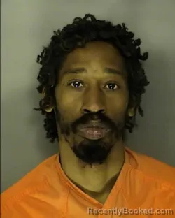 Mugshot of STEPHEN WAYNE JOHNSON