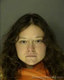 Mugshot of SIERRA NICOLE PLUNKET
