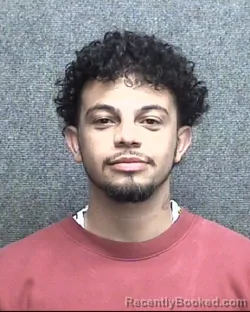 Mugshot of MICHEL ANTONIO ALVES