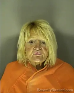 Mugshot of SHANNON MICHELLE BROWN