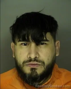 Mugshot of ISMAEL VERDECIA PARRA