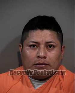 Booking photo from Horry County, South Carolina