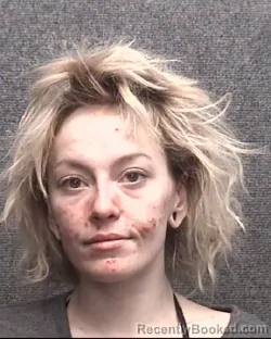 Mugshot of TAYLOR NICOLE HAVENER