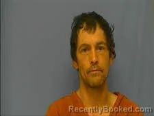 Booking photo from Saline County, Arkansas