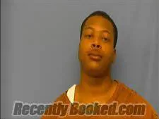 Booking photo from Saline County, Arkansas