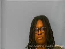 Mugshot of CHELSEY CLEMONS