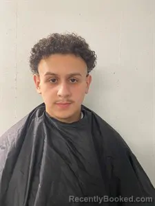 Mugshot of Khander Sallam, Alsofari