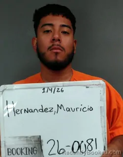 Mugshot of Mauricio Hernandez-Rosales