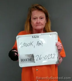 Mugshot of Amy Lynne Crook
