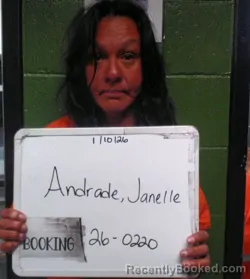 Mugshot of Janelle Patrice Andrade