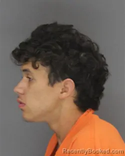 Mugshot of Austin Phillip Truax