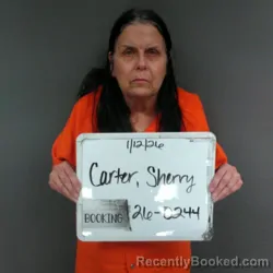 Mugshot of Sherry Diane Carter