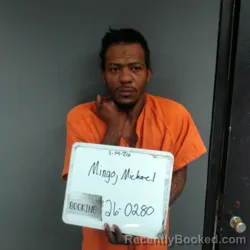 Mugshot of Michael Dewayne Mingo