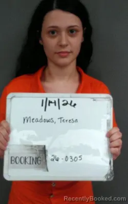Mugshot of Teresa Meadows
