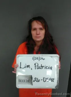 Mugshot of Patricia Ann Lim