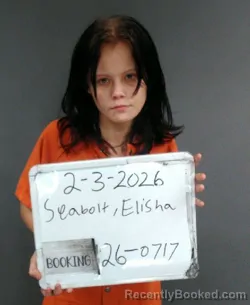 Mugshot of ELISHA SHAYLIN SEABOLT