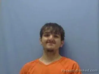 Booking photo from Sevier County, Arkansas