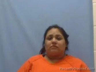 Mugshot of MARISOL FERNANDEZ