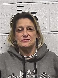 Mugshot of Sonja Jolene Free