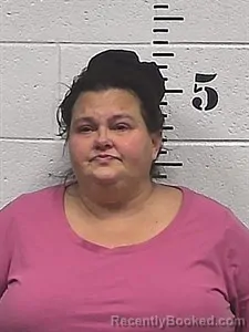 Mugshot of Crystal Noel Pierce