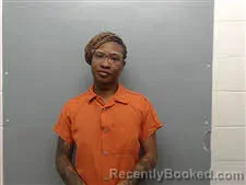 Mugshot of Larenzeuna Downs