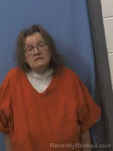 Booking photo from Van Buren County, Arkansas