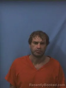 Booking photo from Van Buren County, Arkansas