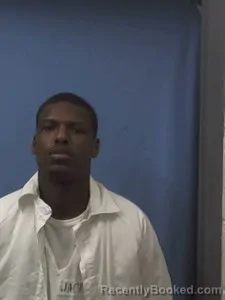 Booking photo from Van Buren County, Arkansas