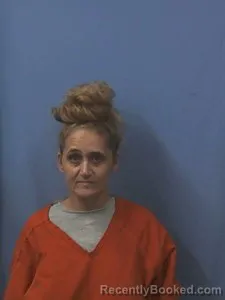 Booking photo from Van Buren County, Arkansas