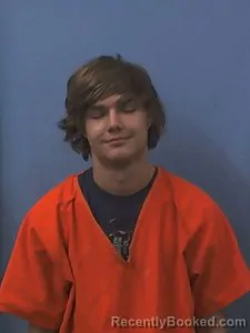 Booking photo from Van Buren County, Arkansas