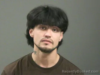 Mugshot of Steven Tokunaga