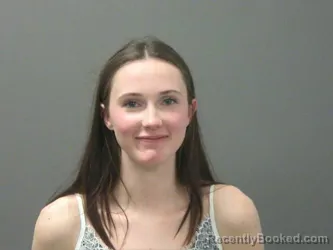 Booking photo from Washington County, Arkansas