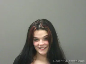 Booking photo from Washington County, Arkansas