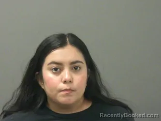 Mugshot of Diana Hernandez