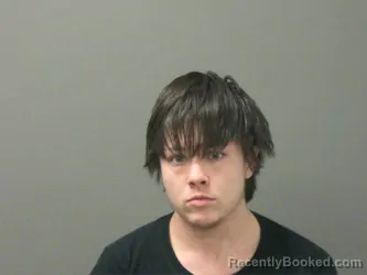 Mugshot of Jamayka Brooks