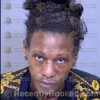 Mugshot of Erica L Harris