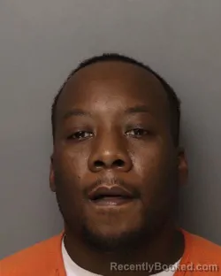 Mugshot of RYELYNN DEMONT SANDERS