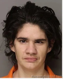 Mugshot of WHITNEY FAYTH JACOME