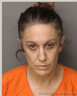 Mugshot of MONICA RENEE HINSON