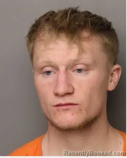 Mugshot of JAMES BODINE BROWNE