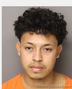 Mugshot of ROBIN RODRIGO LOPEZ LICONA