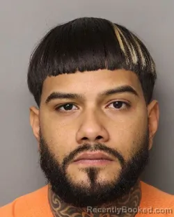 Mugshot of GERLEY MELO