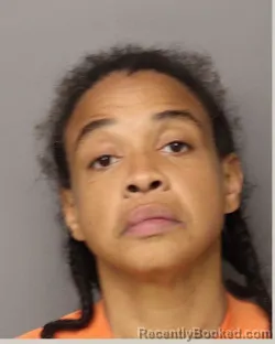 Mugshot of ERIN NICOLE ALDANA