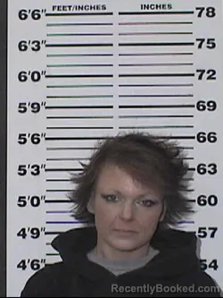 Mugshot of BRANDI NICOLE EXLINE